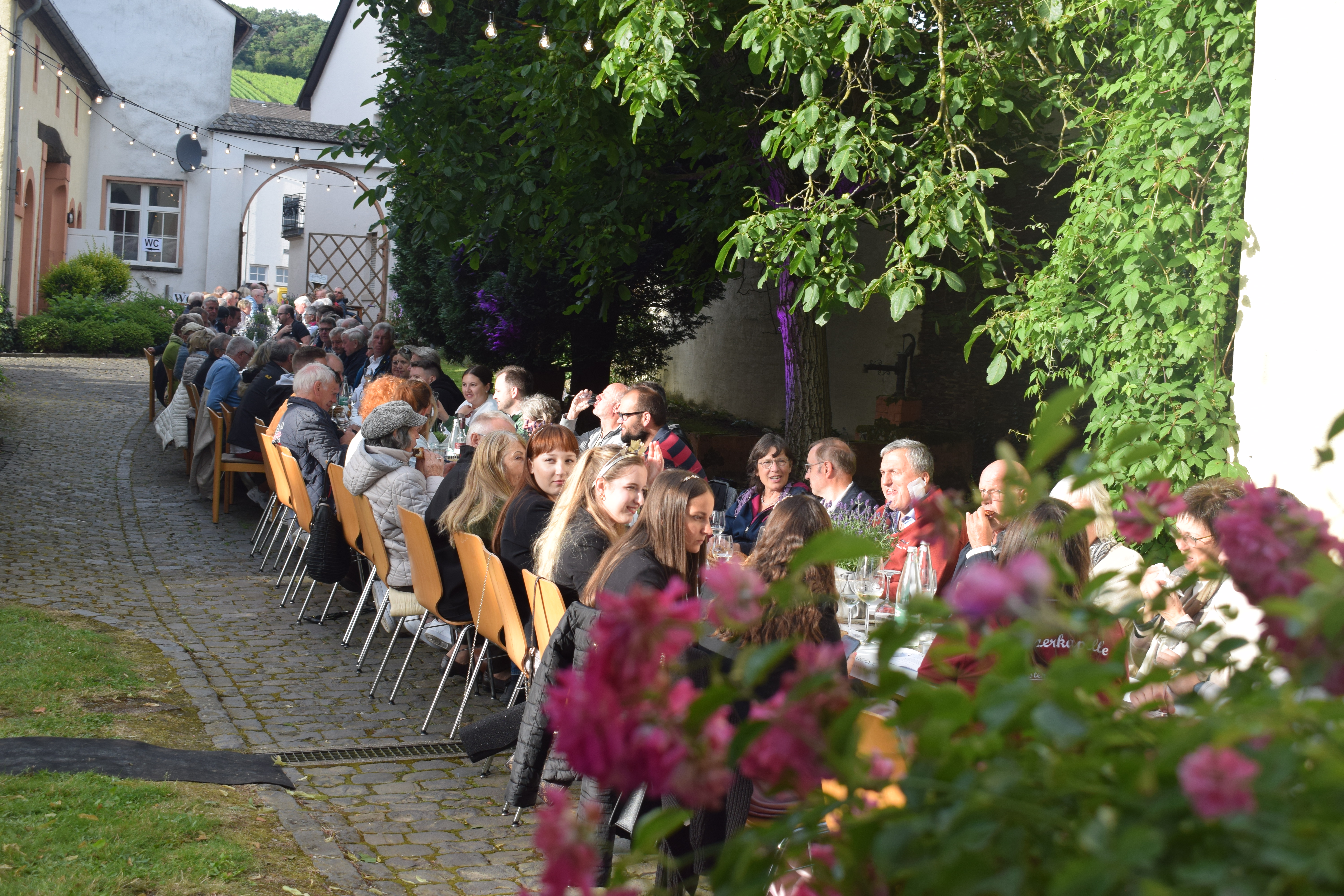 tl_files/Bilder/Weinprobe 2024/DSC_0033.JPG